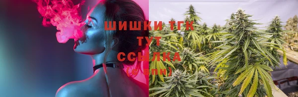 прущие грибы Верхний Тагил
