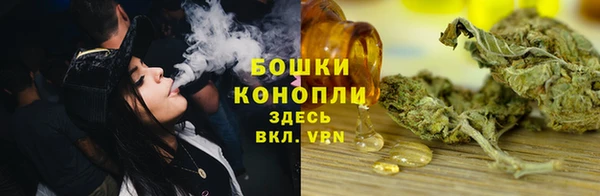 прущие грибы Верхний Тагил