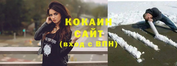 прущие грибы Верхний Тагил