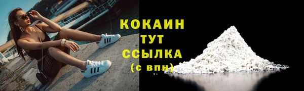 прущие грибы Верхний Тагил