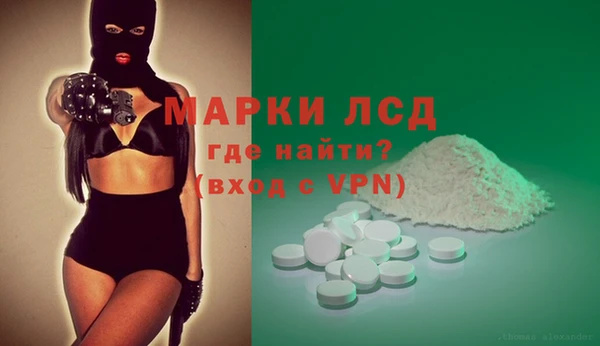прущие грибы Верхний Тагил