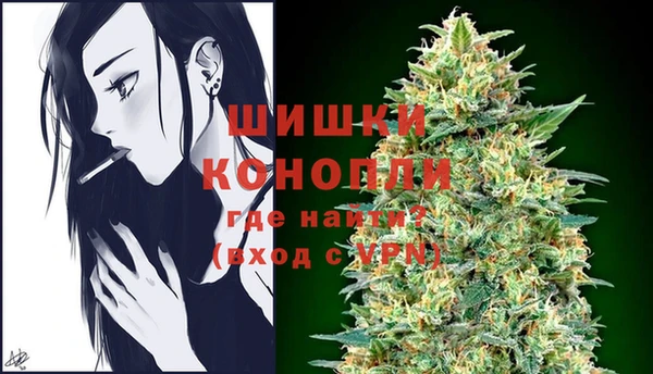 прущие грибы Верхний Тагил