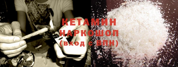 прущие грибы Верхний Тагил