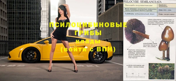 твердый Бородино
