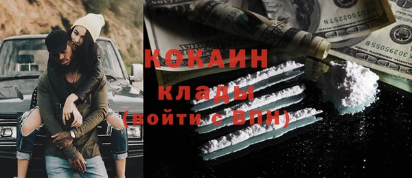 прущие грибы Верхний Тагил