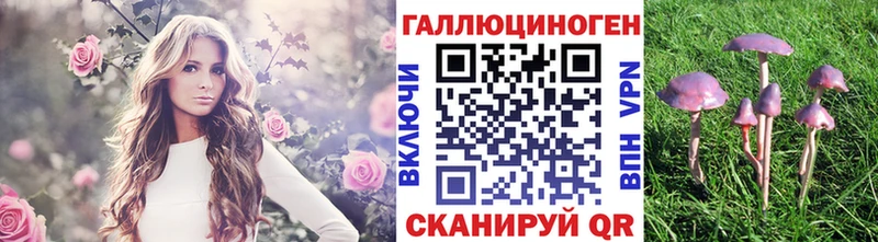 Псилоцибиновые грибы Magic Shrooms  Нариманов 